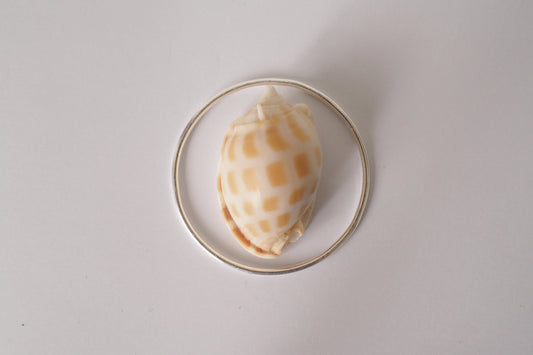 Shell in a silver bangle with a light gray background