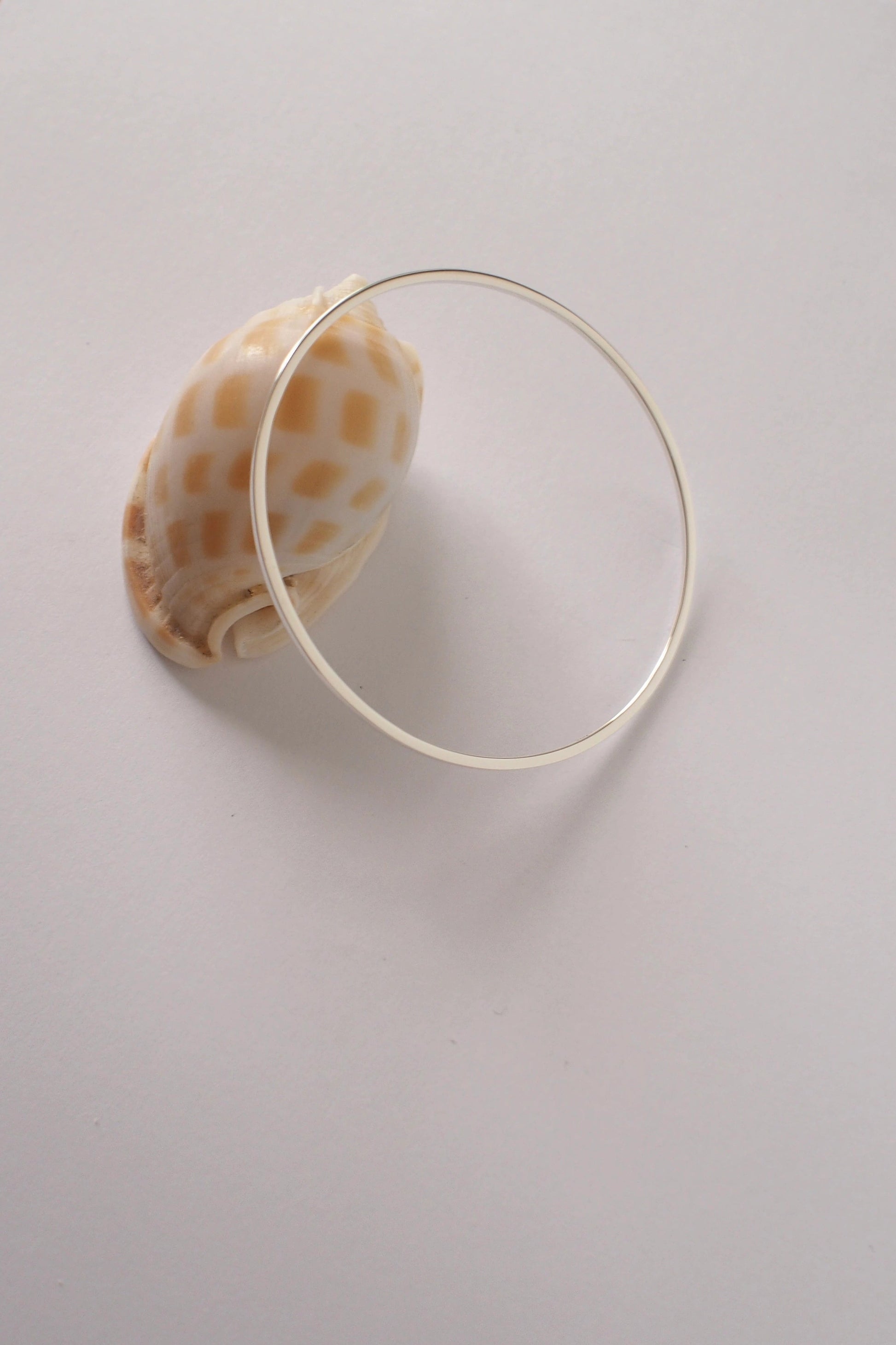 Seashell on a white surface with a silver bangle around it