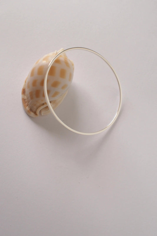 Seashell on a white surface with a silver bangle around it